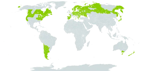 Malva moschata world distribution map, present in Albania, Andorra, Argentina, Australia, Austria, Belgium, Bulgaria, Bosnia and Herzegovina, Belarus, Canada, Switzerland, Chile, Czech Republic, Germany, Denmark, Spain, Estonia, Finland, France, United Kingdom of Great Britain and Northern Ireland, Greece, Croatia, Hungary, Italy, Japan, Liechtenstein, Luxembourg, North Macedonia, Montenegro, Netherlands, Norway, New Zealand, Poland, Romania, Russian Federation, Serbia, Slovakia, Slovenia, Sweden, Ukraine, and United States of America