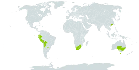 Mandevilla laxa world distribution map, present in Argentina, Australia, Bolivia (Plurinational State of), China, Ecuador, Peru, and South Africa