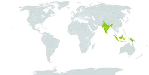 Maniltoa browneoides world distribution map, present in Fiji, Indonesia, India, and Papua New Guinea