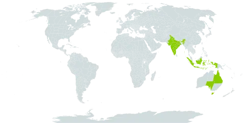 Maniltoa world distribution map, present in Australia, Indonesia, and India