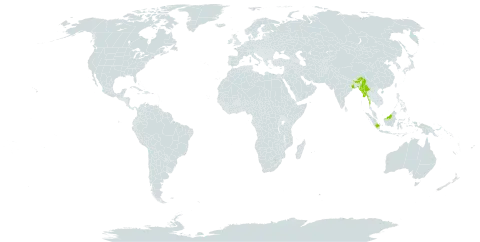 Mappianthus hookerianus world distribution map, present in Bangladesh, Indonesia, India, Myanmar, and Malaysia