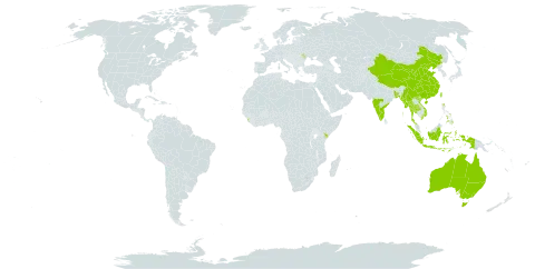 Margaritaria indica world distribution map, present in Andorra, Australia, Bangladesh, China, Indonesia, India, Kenya, Sri Lanka, Moldova (Republic of), Myanmar, Philippines, Thailand, Taiwan, Province of China, and Viet Nam