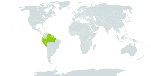 Markea longiflora world distribution map, present in Brazil, Ecuador, French Guiana, Guyana, Peru, Trinidad and Tobago, and Venezuela (Bolivarian Republic of)