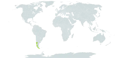 Marsippospermum philippii world distribution map, present in Argentina, Chile, and Uruguay