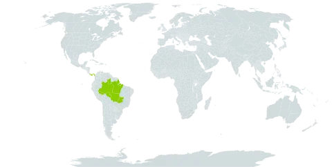 Martinella obovata world distribution map, present in Brazil and Panama