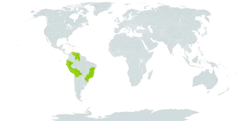 Maxillaria notylioglossa world distribution map, present in Bolivia (Plurinational State of), Brazil, Ecuador, Peru, and Venezuela (Bolivarian Republic of)