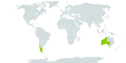 Maytenus magellanica world distribution map, present in Argentina, Australia, Chile, and Uruguay