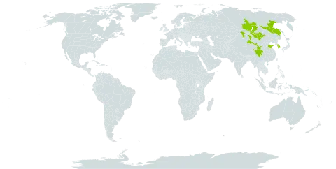 Medicago ruthenica world distribution map, present in China, Korea (Republic of), Mongolia, and Russian Federation