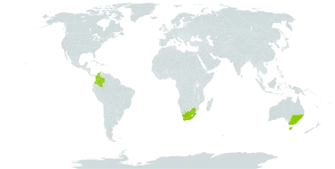 Melaleuca armillaris subsp. armillaris world distribution map, present in Australia, Colombia, and South Africa