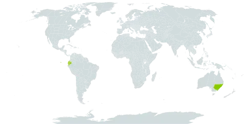 Melaleuca subulata world distribution map, present in Australia and Ecuador