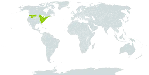 Melampyrum world distribution map, present in United States of America