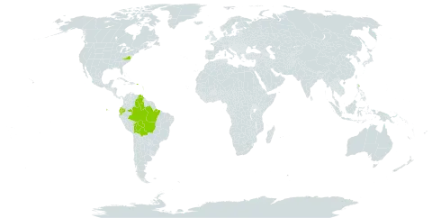 Meliosma herbertii world distribution map, present in Bolivia (Plurinational State of), Brazil, Colombia, Dominica, Ecuador, Guadeloupe, Saint Lucia, Martinique, Puerto Rico, United States of America, Saint Vincent and the Grenadines, and Venezuela (Bolivarian Republic of)