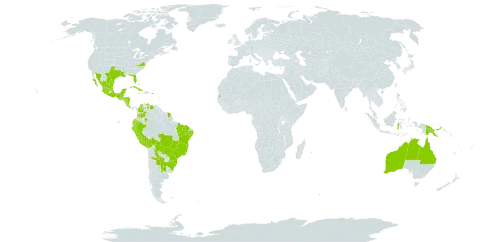 Melochia pyramidata world distribution map, present in Anguilla, Argentina, Antigua and Barbuda, Australia, Bonaire, Sint Eustatius and Saba, Bahamas, Belize, Bolivia (Plurinational State of), Brazil, Barbados, Colombia, Costa Rica, Cuba, Cayman Islands, Dominica, Ecuador, Guadeloupe, Grenada, Guatemala, French Guiana, Honduras, Indonesia, Jamaica, Saint Lucia, Mexico, Montserrat, Mauritius, Nicaragua, Peru, Papua New Guinea, Puerto Rico, Paraguay, Réunion, Seychelles, Trinidad and Tobago, Uruguay, United States of America, and Venezuela (Bolivarian Republic of)