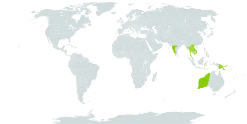 Melochia umbellata world distribution map, present in Australia, Greece, Indonesia, India, Cambodia, Lao People's Democratic Republic, Sri Lanka, Myanmar, Philippines, Papua New Guinea, Thailand, United States of America, and Viet Nam