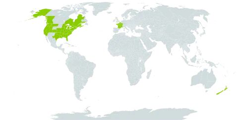 Mentha x piperita world distribution map, present in Canada, France, United Kingdom of Great Britain and Northern Ireland, New Zealand, and United States of America