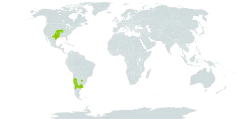 Mentzelia albescens world distribution map, present in Argentina, Chile, Uruguay, and United States of America