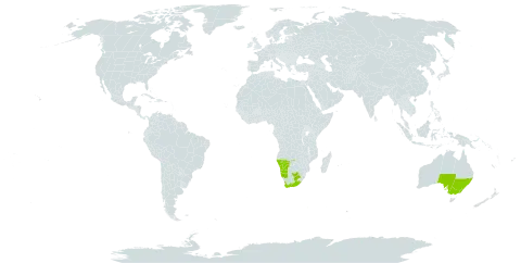 Mesembryanthemum granulicaule world distribution map, present in Australia, Namibia, and South Africa