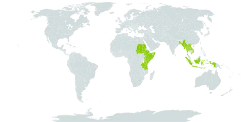 Meyna world distribution map, present in Bangladesh, Comoros, Ethiopia, Indonesia, Kenya, Lao People's Democratic Republic, Myanmar, Nepal, Sudan, Somalia, Thailand, Tanzania, United Republic of, Uganda, and Viet Nam