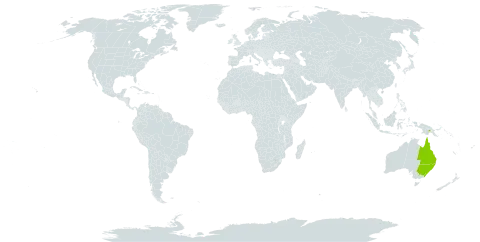 Mezoneuron scortechinii world distribution map, present in Australia and Papua New Guinea