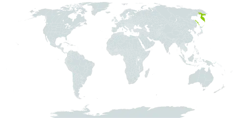 Micranthes purpurascens world distribution map, present in Russian Federation