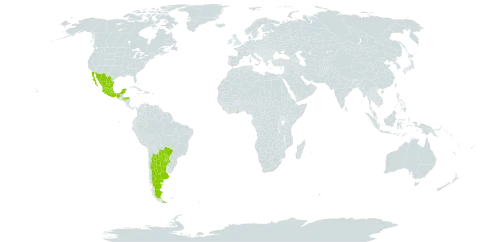 Microlobius foetidus world distribution map, present in Argentina, Brazil, Ghana, Honduras, Mexico, and Paraguay