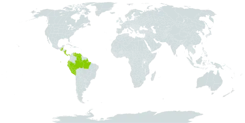 Micropholis melinoniana world distribution map, present in Belize, Brazil, Costa Rica, Ecuador, Guatemala, Nicaragua, Panama, Peru, and Venezuela (Bolivarian Republic of)