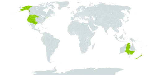 Microseris world distribution map, present in Australia, New Zealand, and United States of America