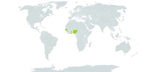 Microstachys faradianensis world distribution map, present in Ghana, Guinea, Nigeria, and Senegal