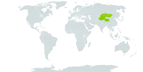 Microula tibetica var. pratensis world distribution map, present in China and Mongolia