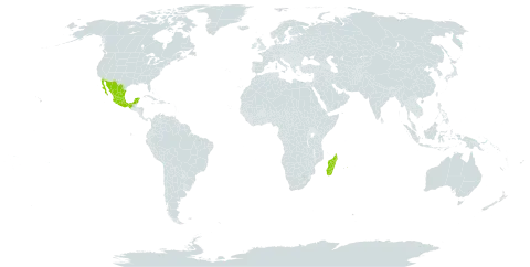 Mimosa galeottii world distribution map, present in Madagascar, Mexico, and Mauritius