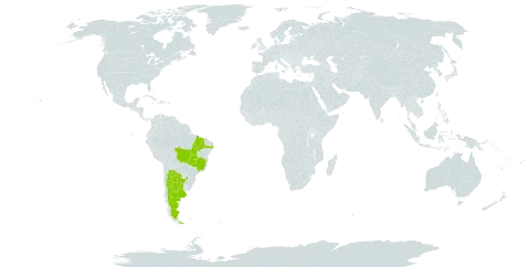 Mimosa hirsutissima var. barbigera world distribution map, present in Argentina and Brazil