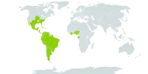 Mimosa quadrivalvis world distribution map, present in Argentina, American Samoa, Benin, Belize, Bolivia (Plurinational State of), Brazil, Côte d'Ivoire, Colombia, Costa Rica, Cuba, Ecuador, Gabon, Ghana, Guatemala, French Guiana, Haiti, Jamaica, Mexico, Martinique, Nigeria, Nicaragua, Panama, Peru, Philippines, Puerto Rico, Paraguay, Singapore, Togo, United States of America, and Venezuela (Bolivarian Republic of)