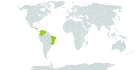 Mimosa tenuiflora world distribution map, present in Brazil, Colombia, Ghana, Honduras, Singapore, El Salvador, and Venezuela (Bolivarian Republic of)