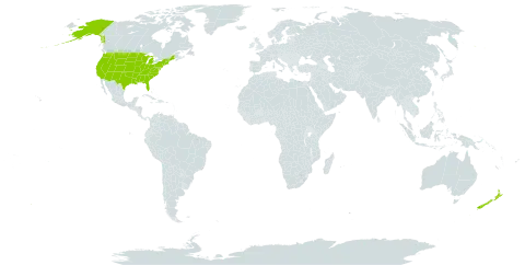 Mimulus world distribution map, present in New Zealand and United States of America