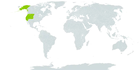 Mimulus lewisii world distribution map, present in United States of America