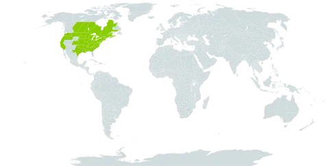 Mimulus ringens world distribution map, present in Canada and United States of America