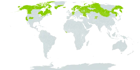 Minuartia stricta world distribution map, present in Canada, Switzerland, Germany, Finland, France, United Kingdom of Great Britain and Northern Ireland, Greenland, Iceland, Kyrgyzstan, Liberia, Mongolia, Norway, Russian Federation, Sweden, Tajikistan, and United States of America