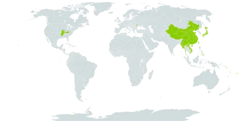 Miscanthus floridulus world distribution map, present in China, Cook Islands, Fiji, Japan, Lao People's Democratic Republic, Moldova (Republic of), Myanmar, Philippines, Solomon Islands, Tonga, Taiwan, Province of China, United States of America, Viet Nam, Vanuatu, Wallis and Futuna, and Samoa