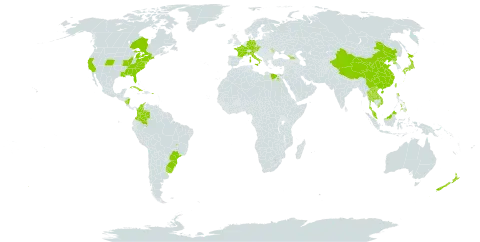 Miscanthus sinensis world distribution map, present in Åland Islands, Austria, Brazil, Canada, China, Colombia, Cuba, Czech Republic, Germany, Egypt, France, Micronesia (Federated States of), Georgia, Italy, Japan, Lao People's Democratic Republic, Moldova (Republic of), Malaysia, Nicaragua, New Zealand, Philippines, Puerto Rico, Korea (Democratic People's Republic of), Turks and Caicos Islands, Thailand, Taiwan, Province of China, Uruguay, United States of America, and Viet Nam