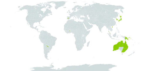 Mitrasacme prolifera world distribution map, present in Argentina, Australia, China, Spain, Ghana, Iceland, Japan, Korea (Republic of), Malaysia, Philippines, Papua New Guinea, and Thailand