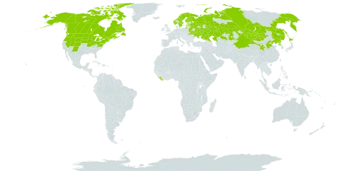 Moehringia lateriflora world distribution map, present in Belarus, Canada, China, Estonia, Finland, France, Japan, Kazakhstan, Liberia, Latvia, Mongolia, Norway, Korea (Democratic People's Republic of), Russian Federation, Saint Pierre and Miquelon, Sweden, Ukraine, and United States of America