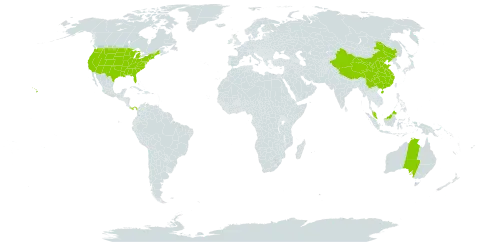 Mollugo world distribution map, present in Australia, China, Malaysia, Panama, and United States of America