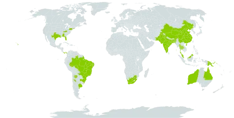 Momordica charantia world distribution map, present in Argentina, American Samoa, Australia, Bangladesh, Brazil, China, India, Malaysia, Pakistan, Panama, Papua New Guinea, Paraguay, Thailand, United States of America, and South Africa