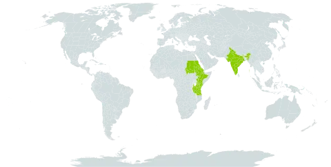 Momordica cymbalaria world distribution map, present in Eritrea, Ethiopia, India, Kenya, Sudan, Tanzania, United Republic of, and Uganda