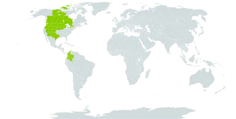 Monarda fistulosa var. menthifolia world distribution map, present in Canada, Colombia, and United States of America