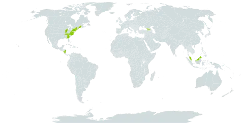 Monarda fistulosa var. rubra world distribution map, present in Georgia, Malaysia, Nicaragua, and United States of America