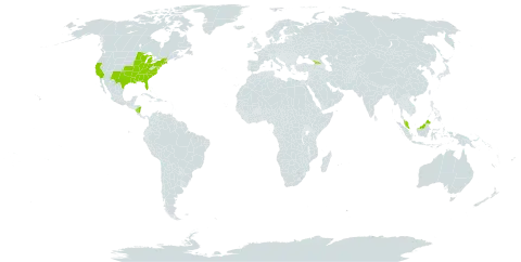 Monarda punctata world distribution map, present in Åland Islands, Micronesia (Federated States of), Georgia, Malaysia, Nicaragua, and United States of America