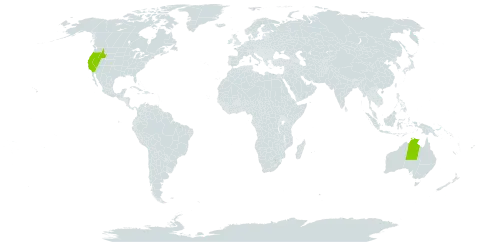 Monolepis spathulata world distribution map, present in Australia and United States of America