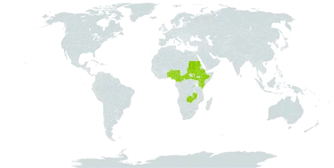 Monosis theophrastifolia world distribution map, present in Benin, Central African Republic, Cameroon, Ethiopia, Kenya, Nigeria, Rwanda, Sudan, South Sudan, Togo, Uganda, and Zambia