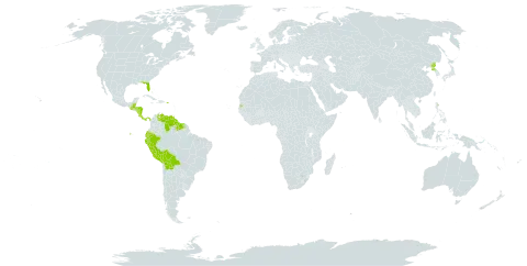 Monstera world distribution map, present in Belize, Bolivia (Plurinational State of), Cook Islands, Costa Rica, Ecuador, Guatemala, Guyana, Honduras, Nicaragua, Panama, Peru, Puerto Rico, Korea (Democratic People's Republic of), Suriname, Seychelles, United States of America, and Venezuela (Bolivarian Republic of)